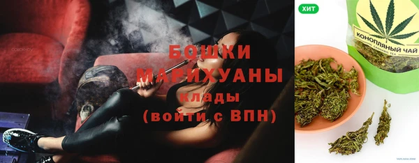 спиды Пересвет