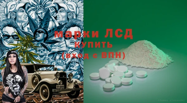 apvp Алзамай