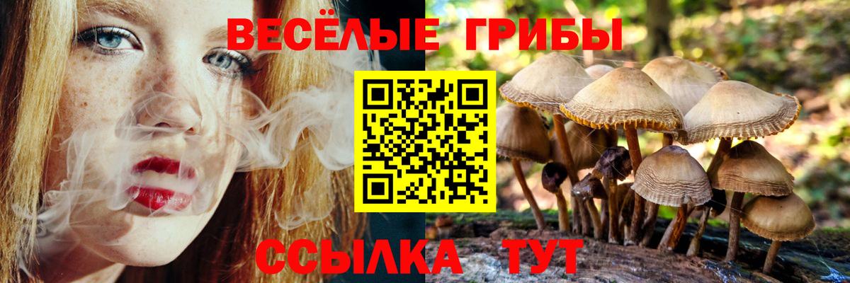 Галлюциногенные грибы прущие грибы  Вход с VPN  Протвино 