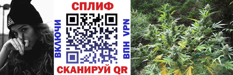Конопля план  продажа наркотиков  Протвино 